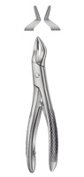 Tooth Forceps for Children 